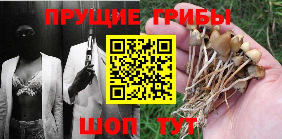 Галлюциногенные грибы Cubensis Усть-Илимск