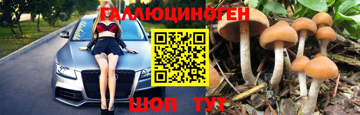 Галлюциногенные грибы мицелий  Вход с VPN  где продают наркотики  Усть-Илимск 